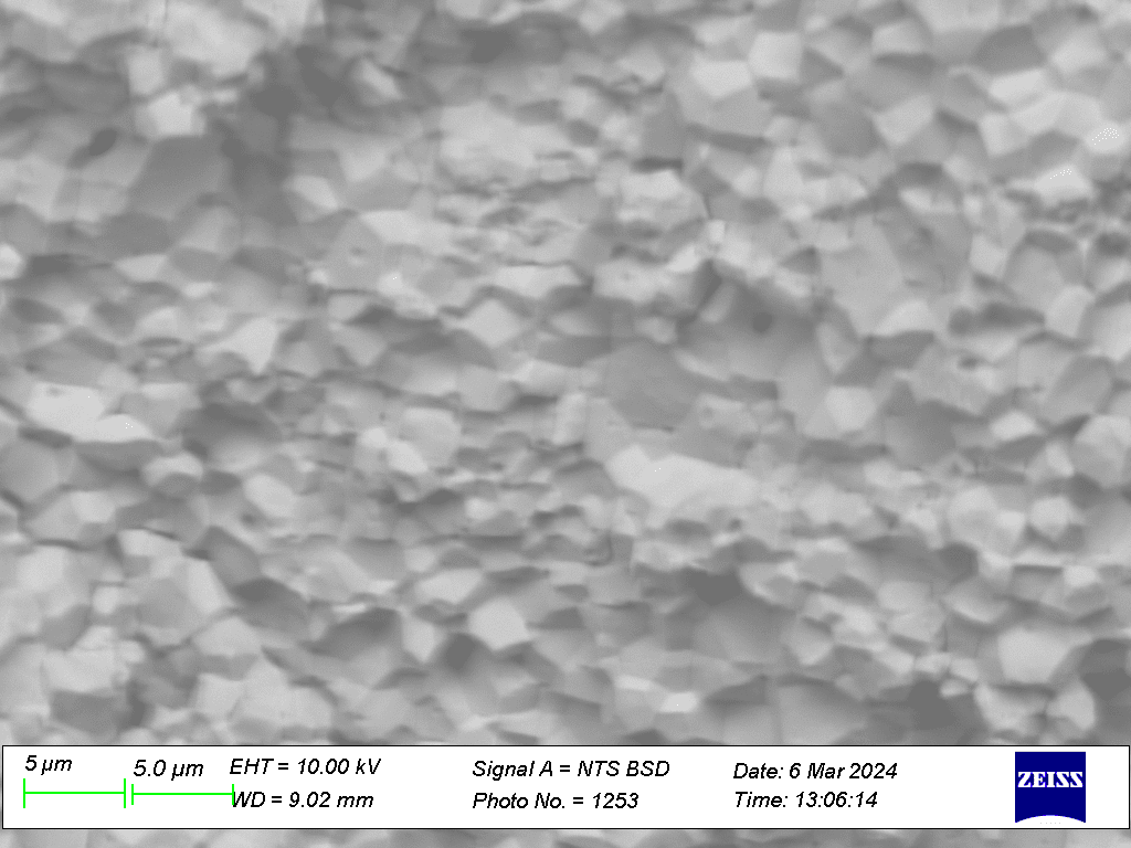 Ruthenium SEC Image